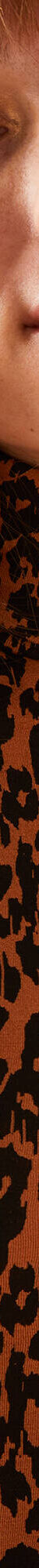 Sous-pull col roulé imprimé peau de bête, stretch (caramel / noir) Sous-pull col roulé imprimé peau de bête, stretch (caramel / noir)